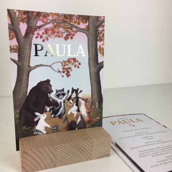 Geboortekaart Paula