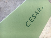 Geboortekaart César krokodil