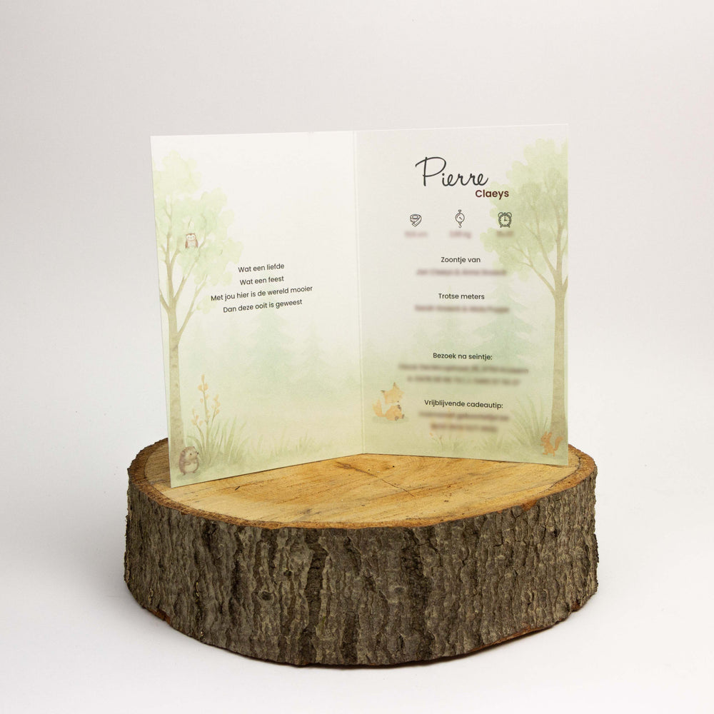 Geboortekaart Pierre