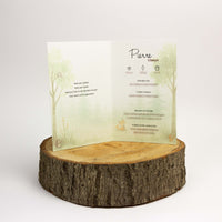 Geboortekaart Pierre