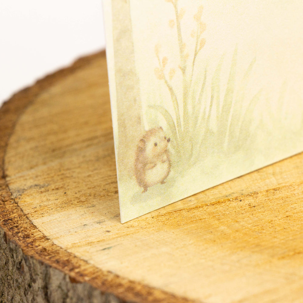 Geboortekaart Pierre