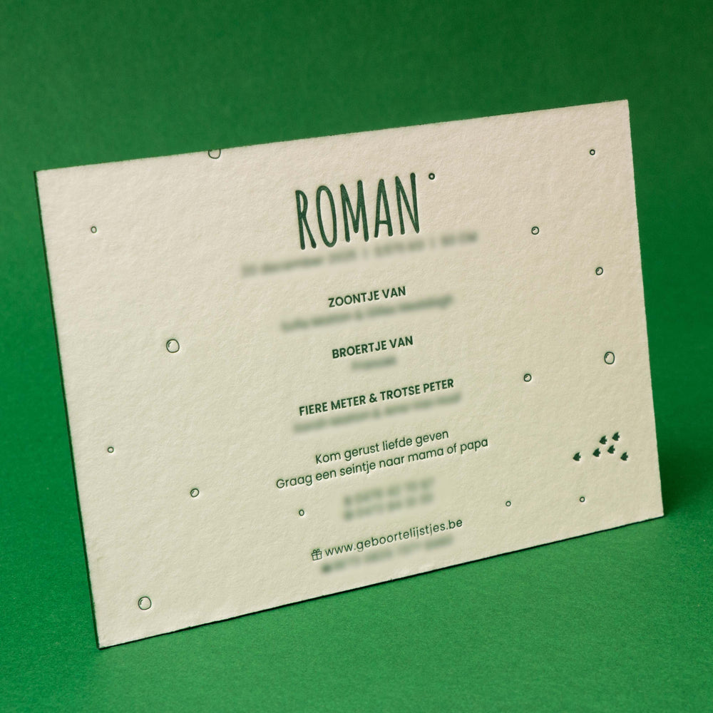 Geboortekaart Roman